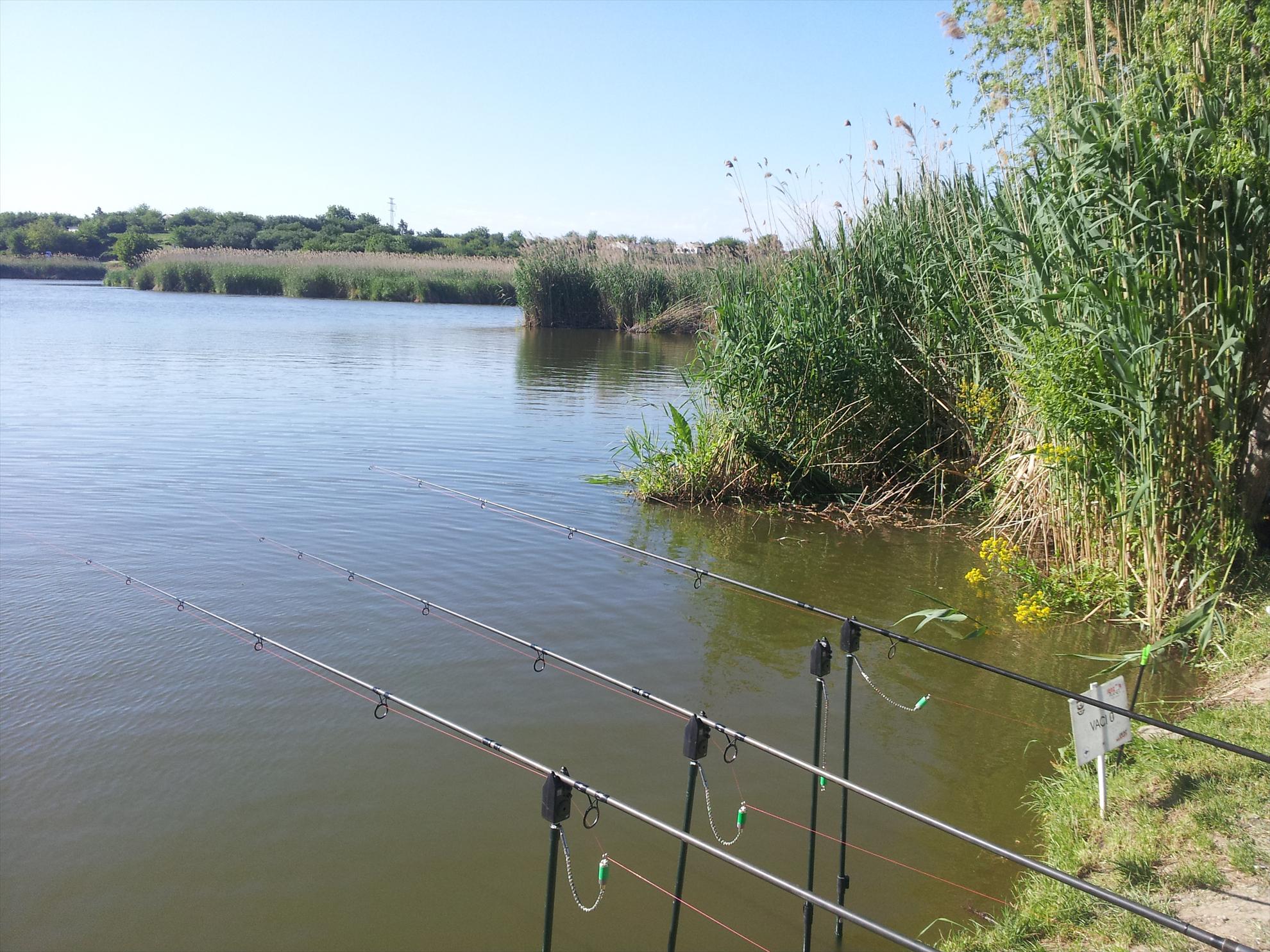 Prima Partida 2013 - Tancabesti Vaci 0 - 20130512165616.jpg